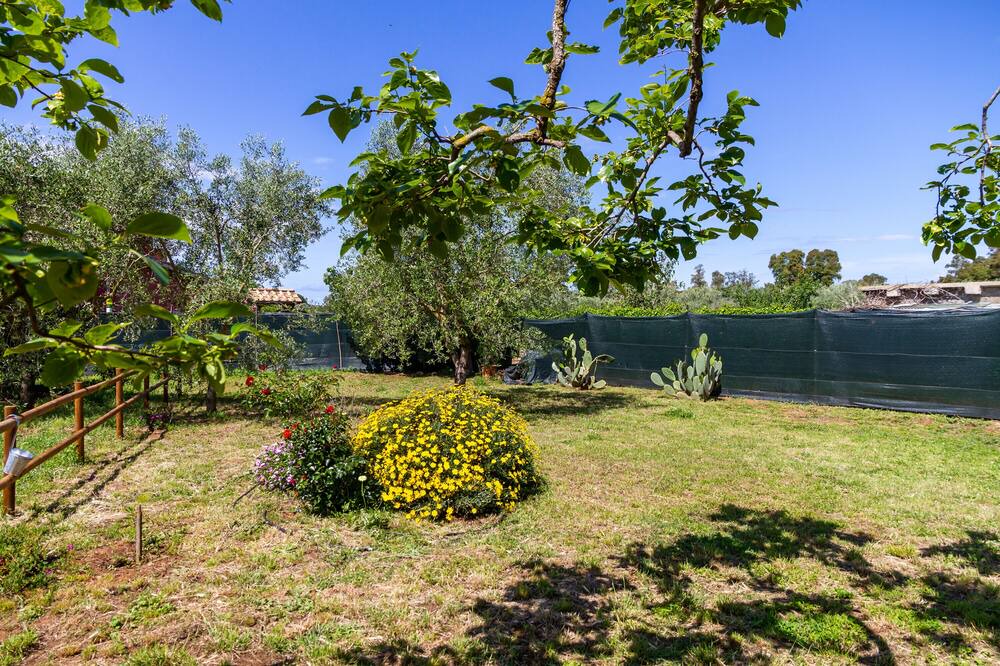 Photo of Outdoor in Orbetello