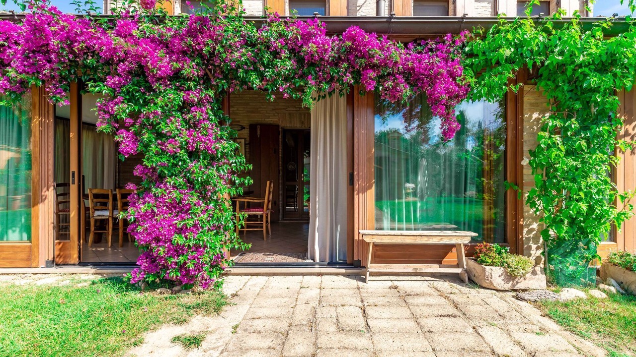 Photo of Outdoor in Fano