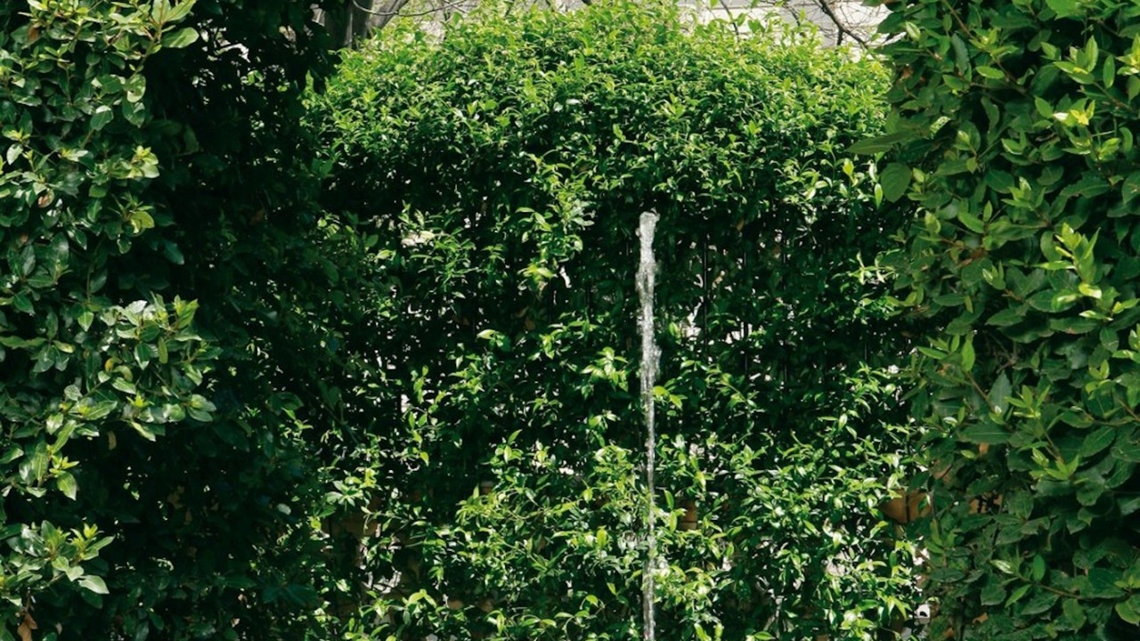 Photo of Outdoor in Rome City Centre