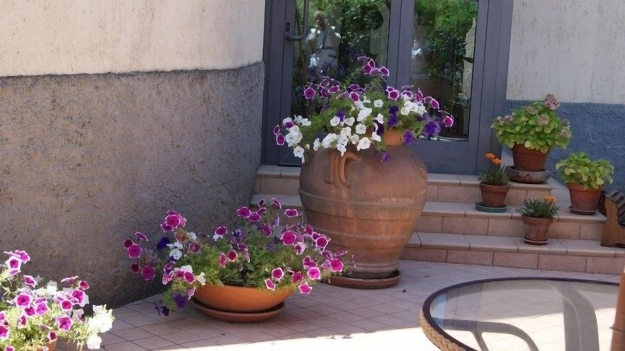 Photo of Outdoor in Manciano