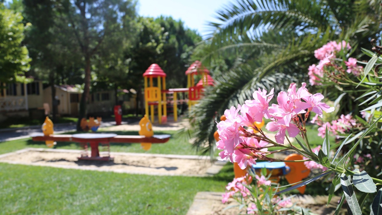 Photo of Outdoor in Sirolo
