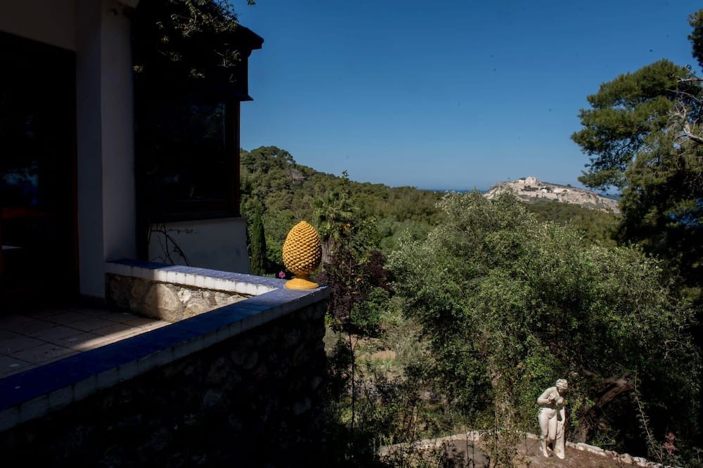Photo of Others in Tremiti Islands