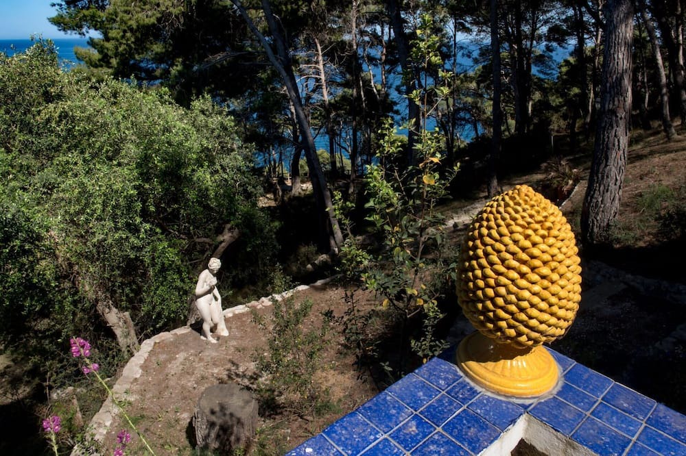 Photo of Others in Tremiti Islands