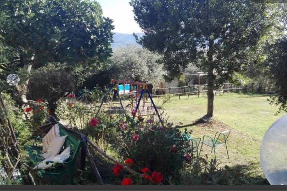 Photo of Others in Pietrauta
