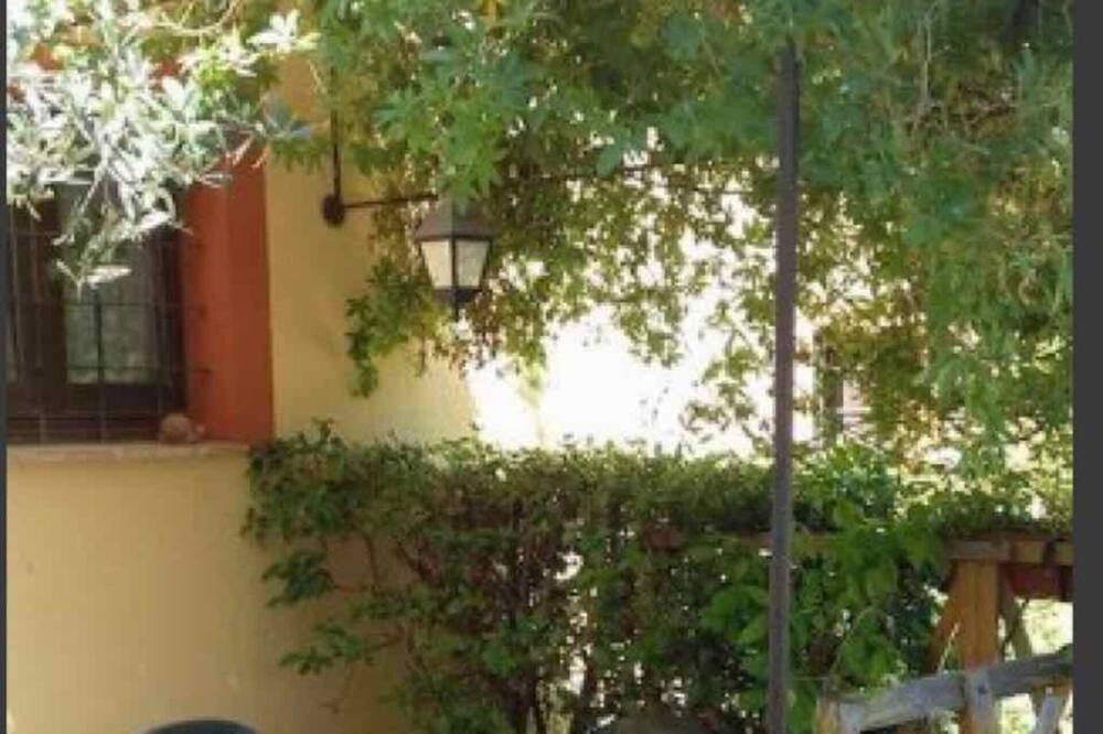 Photo of Others in Pietrauta