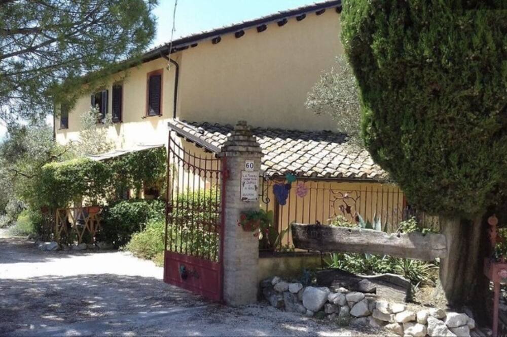 Photo of Others in Pietrauta