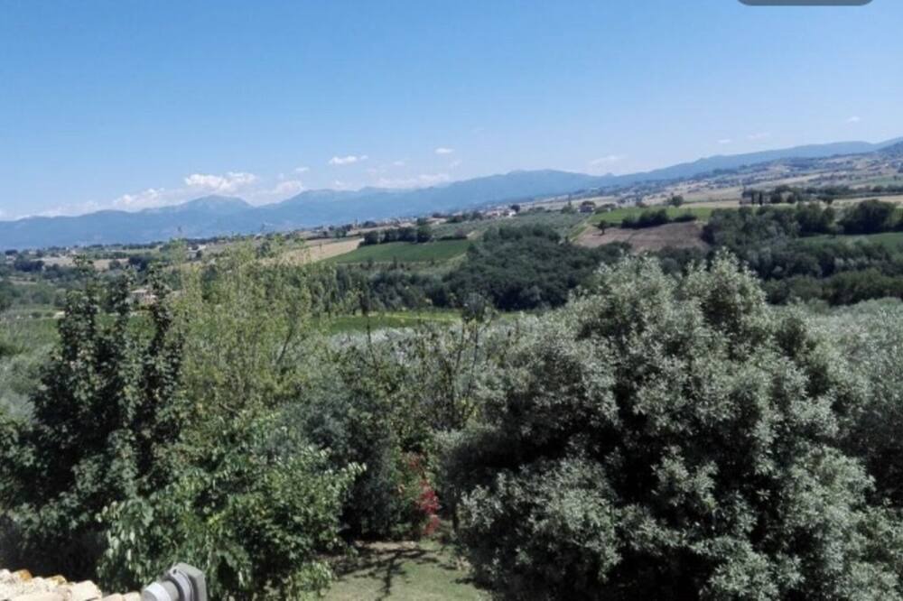 Photo of Others in Pietrauta