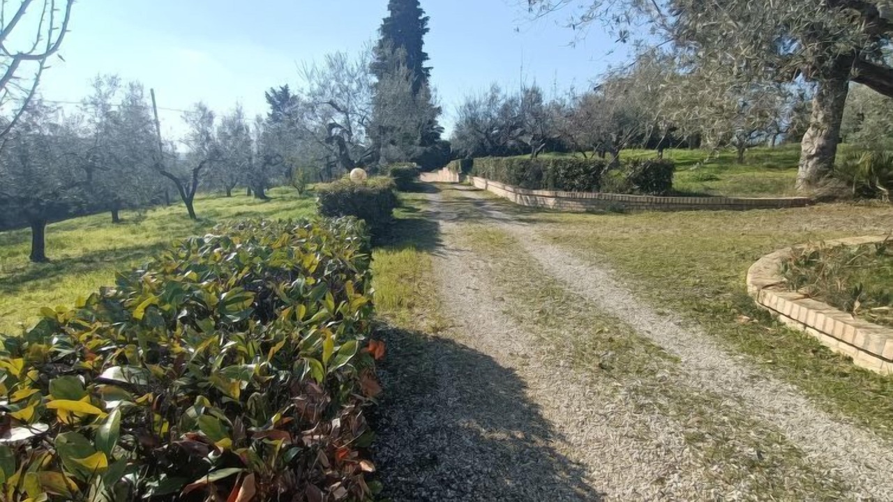Photo of Outdoor in Citta Sant'Angelo