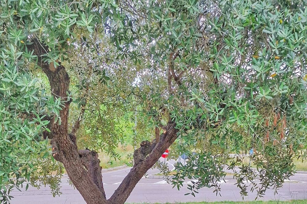 Photo of Outdoor in Frisa