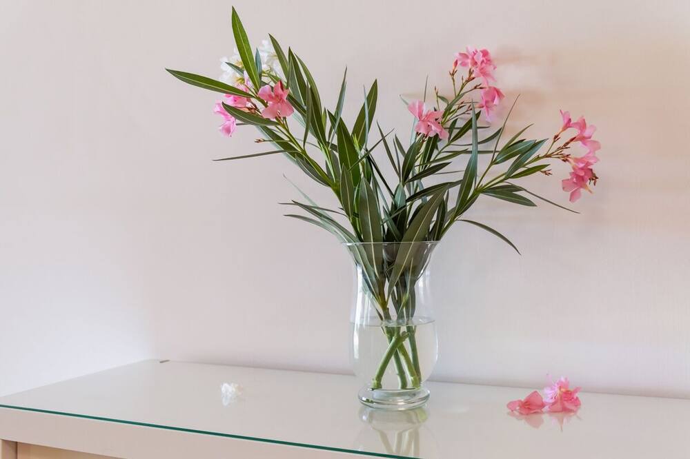 Photo of Bedroom in Torino di Sangro