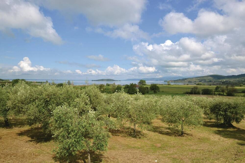 Photo of Outdoor in Piegaro