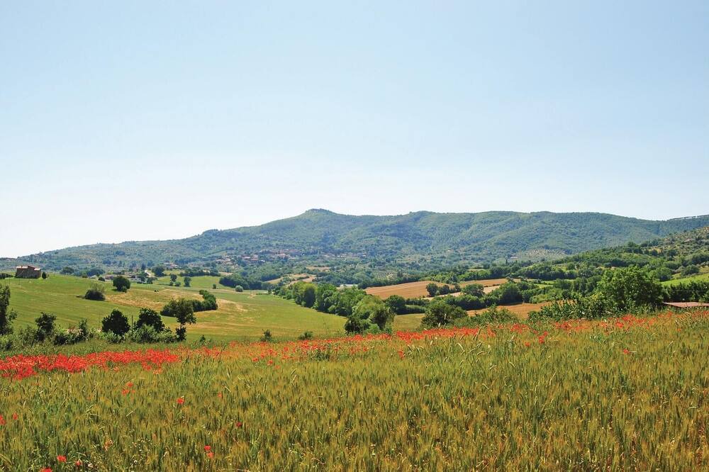 Photo of Outdoor in Piegaro