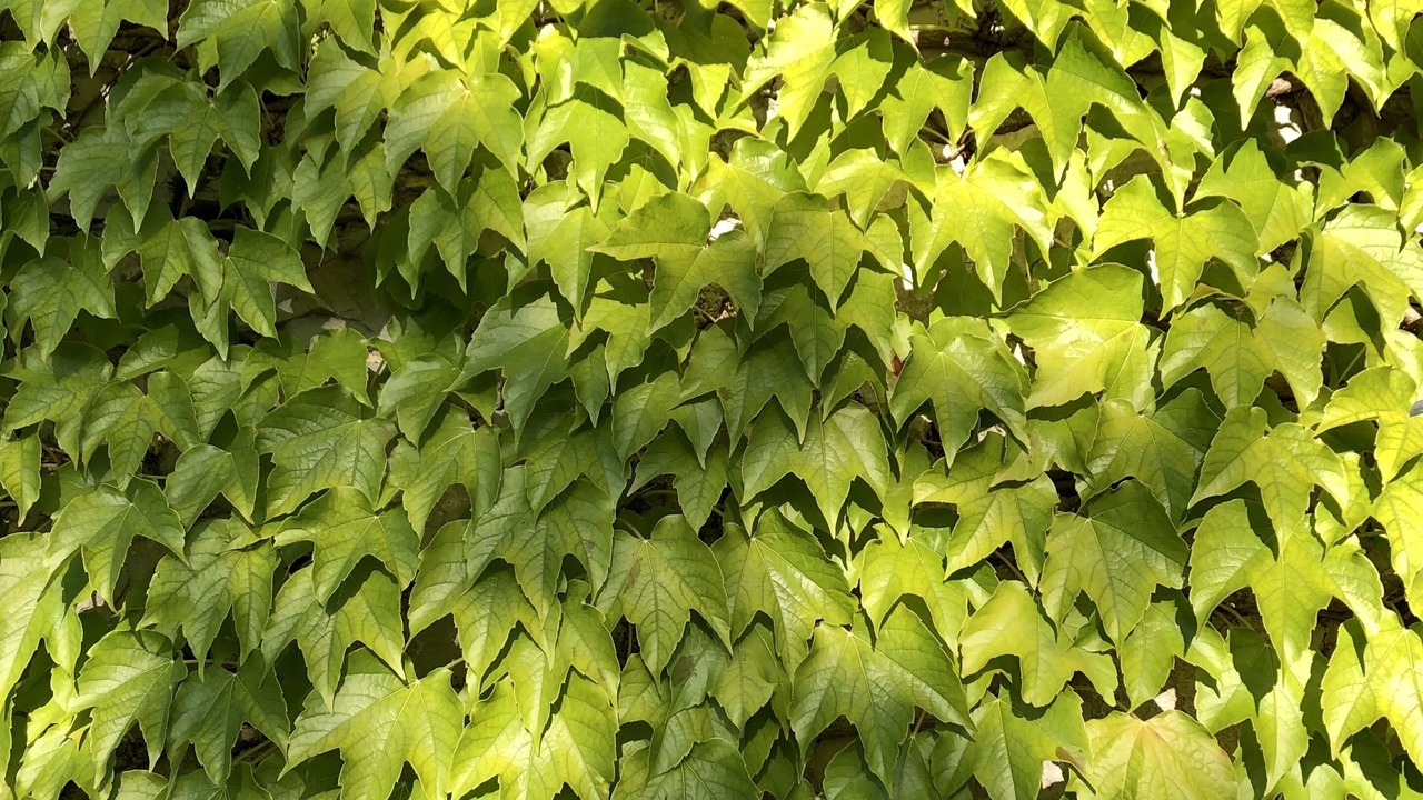 Photo of Outdoor in Piegaro