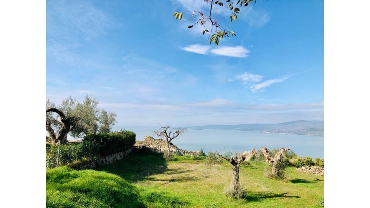 Photo of Outdoor in Piegaro