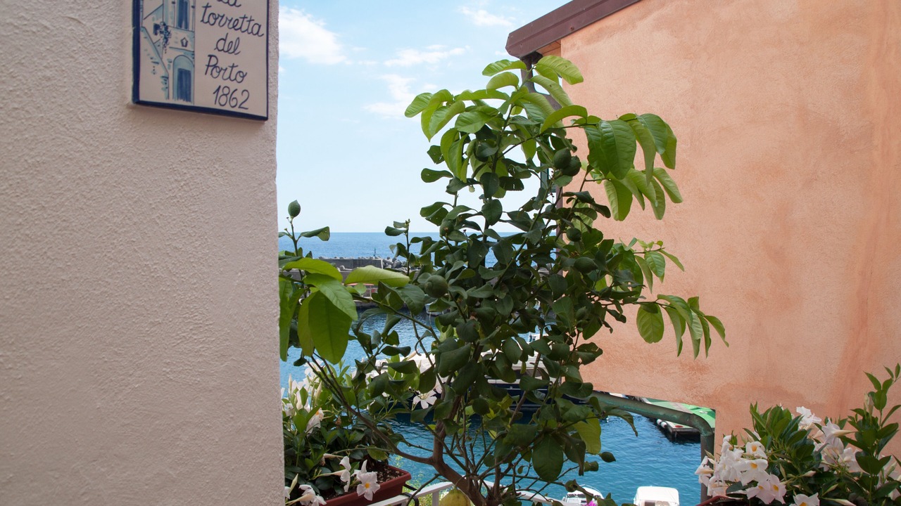 Photo of Others in Maratea