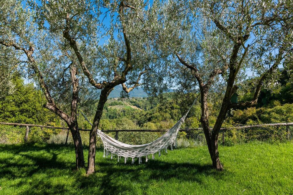 Photo of Outdoor in Narni
