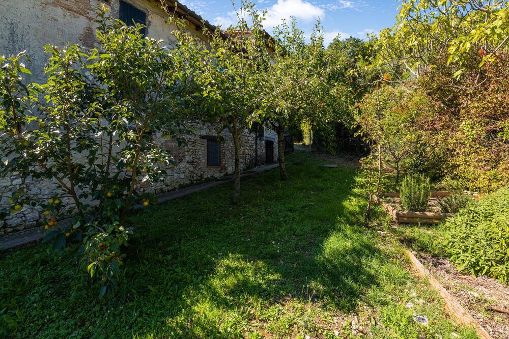 Photo of Outdoor in Narni