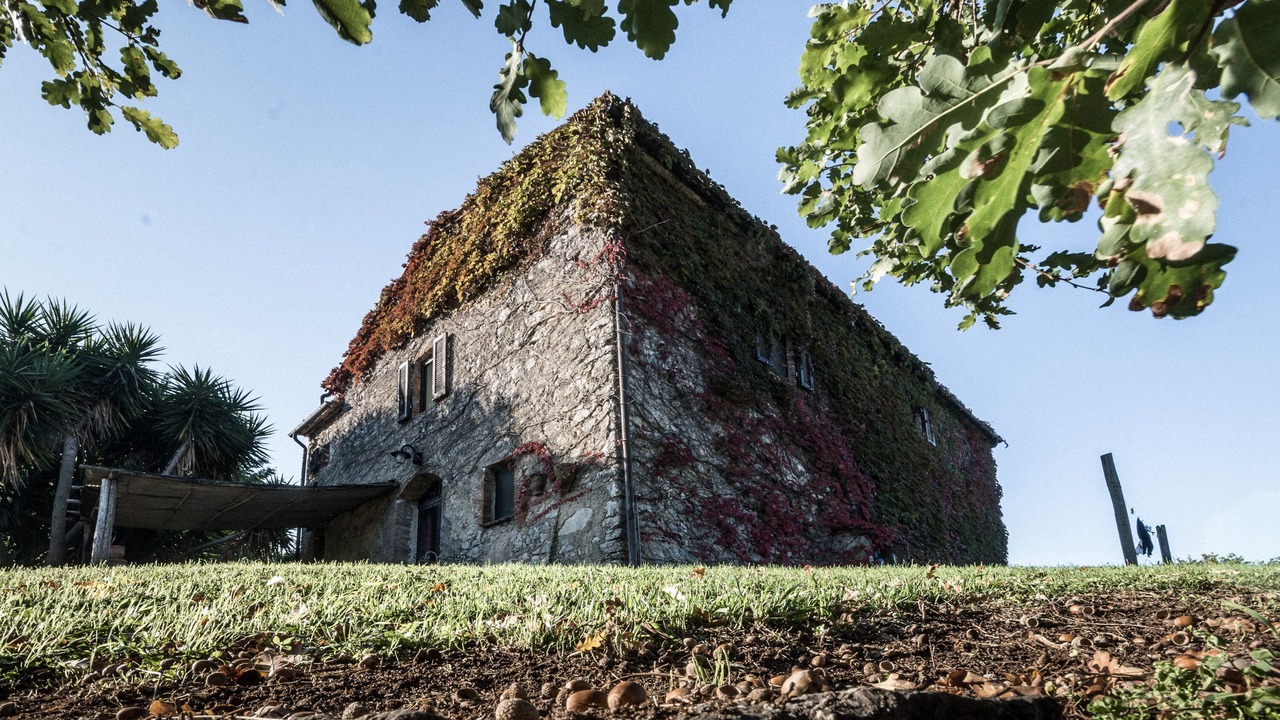 Photo of Outdoor in Manciano