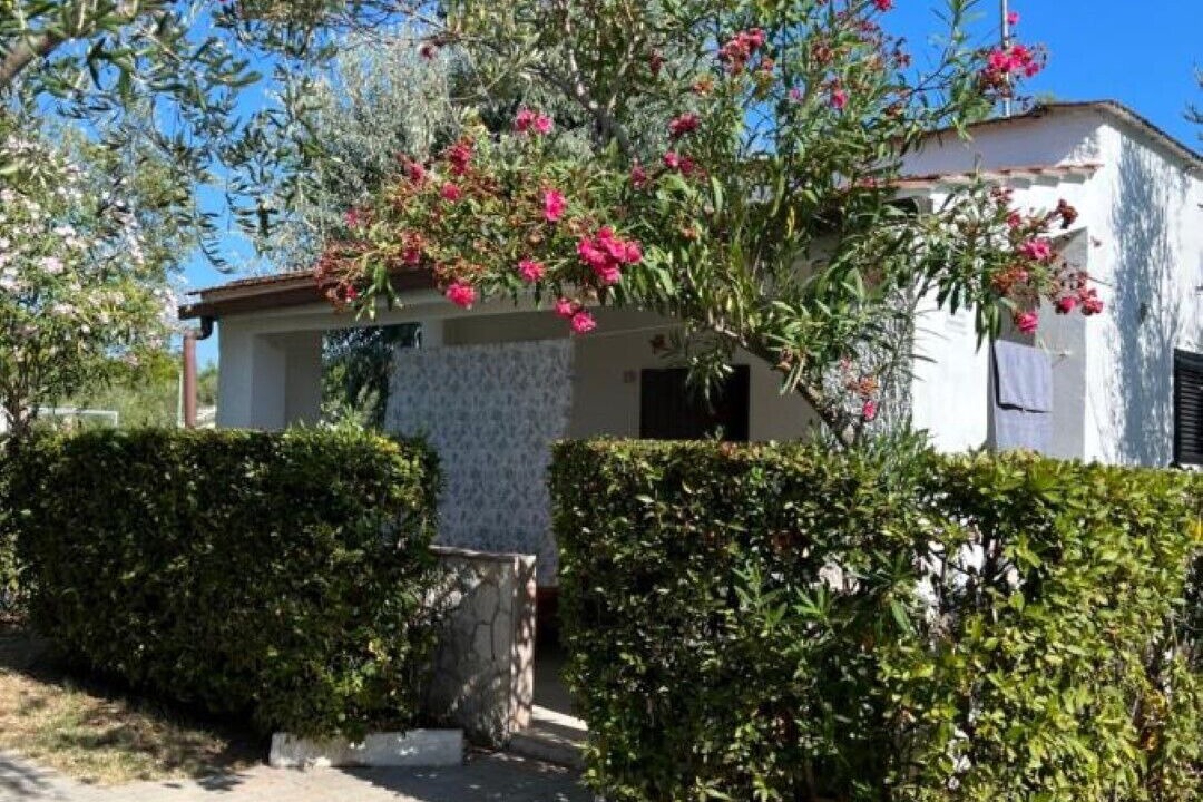 Photo of Outdoor in Montincello