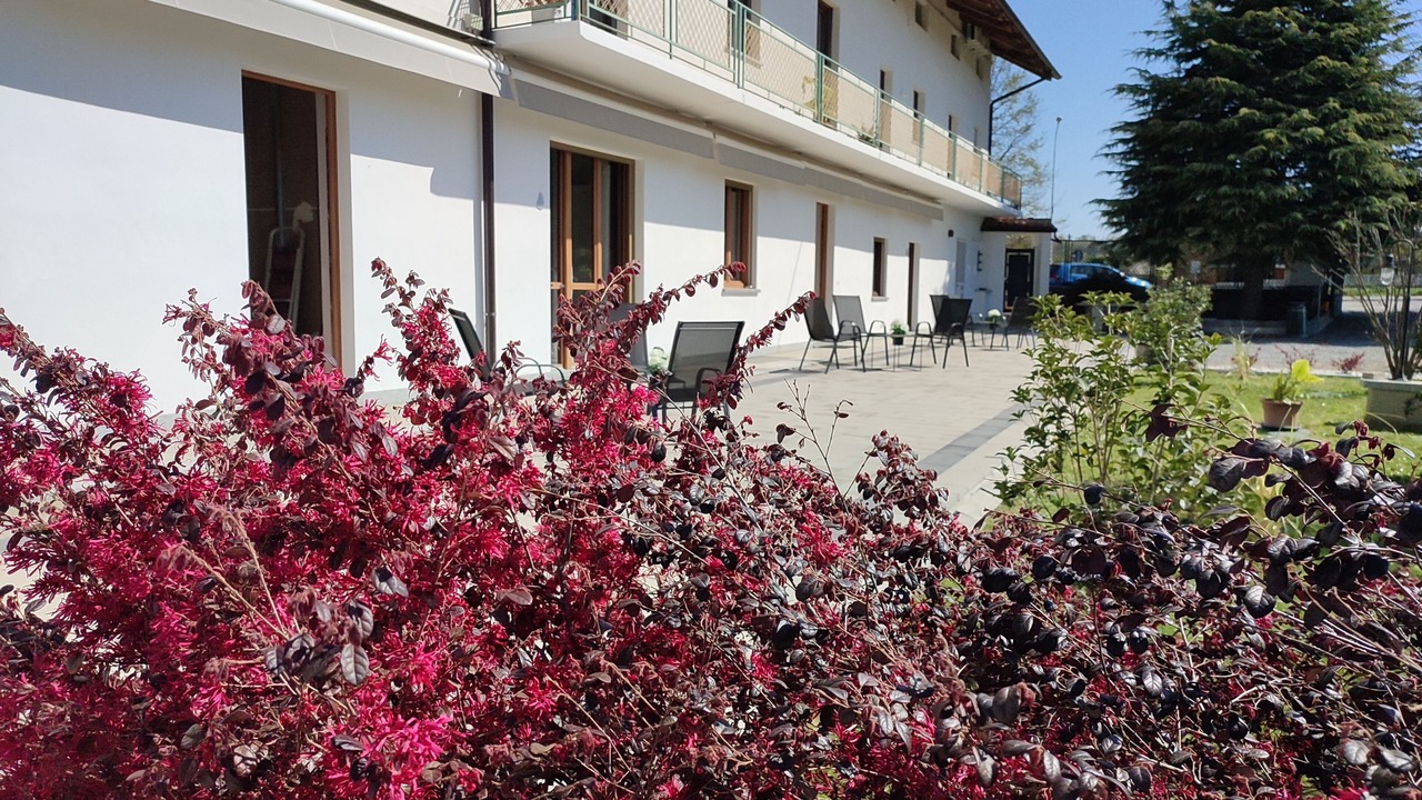 Photo of Outdoor in Viverone