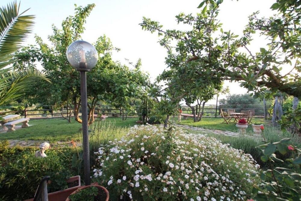 Photo of Outdoor in Diamante