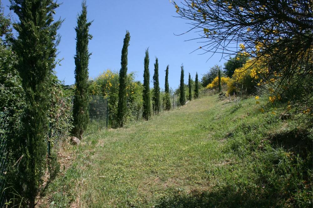 Photo of Outdoor in Subbiano