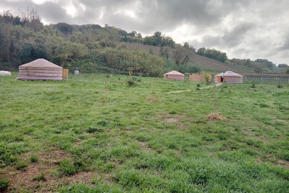 Photo of Others in Torino di Sangro