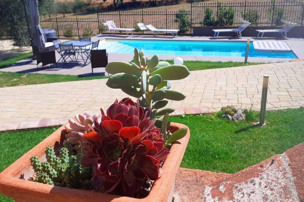 Photo of Outdoor in Tegoleto