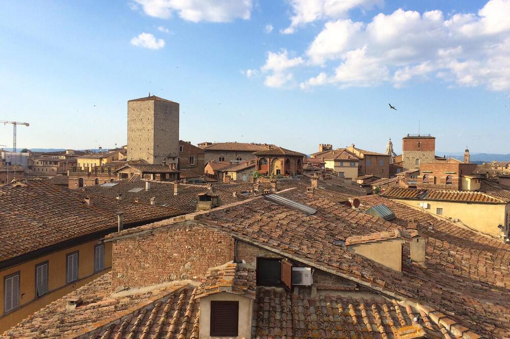 Photo of Others in Montalcino