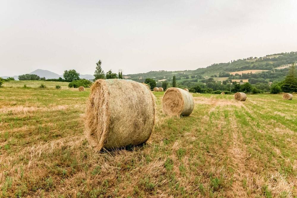 Photo of Others in Montone