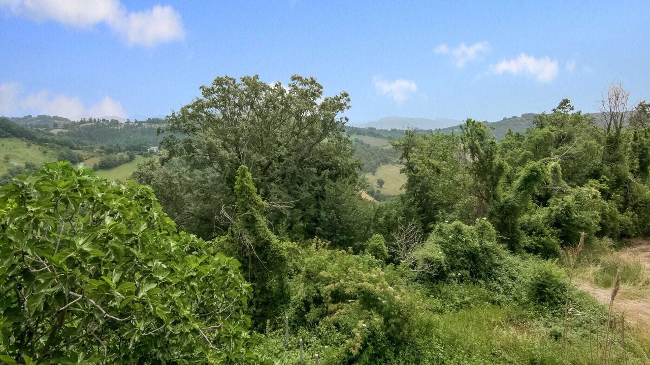Photo of Outdoor in Assisi