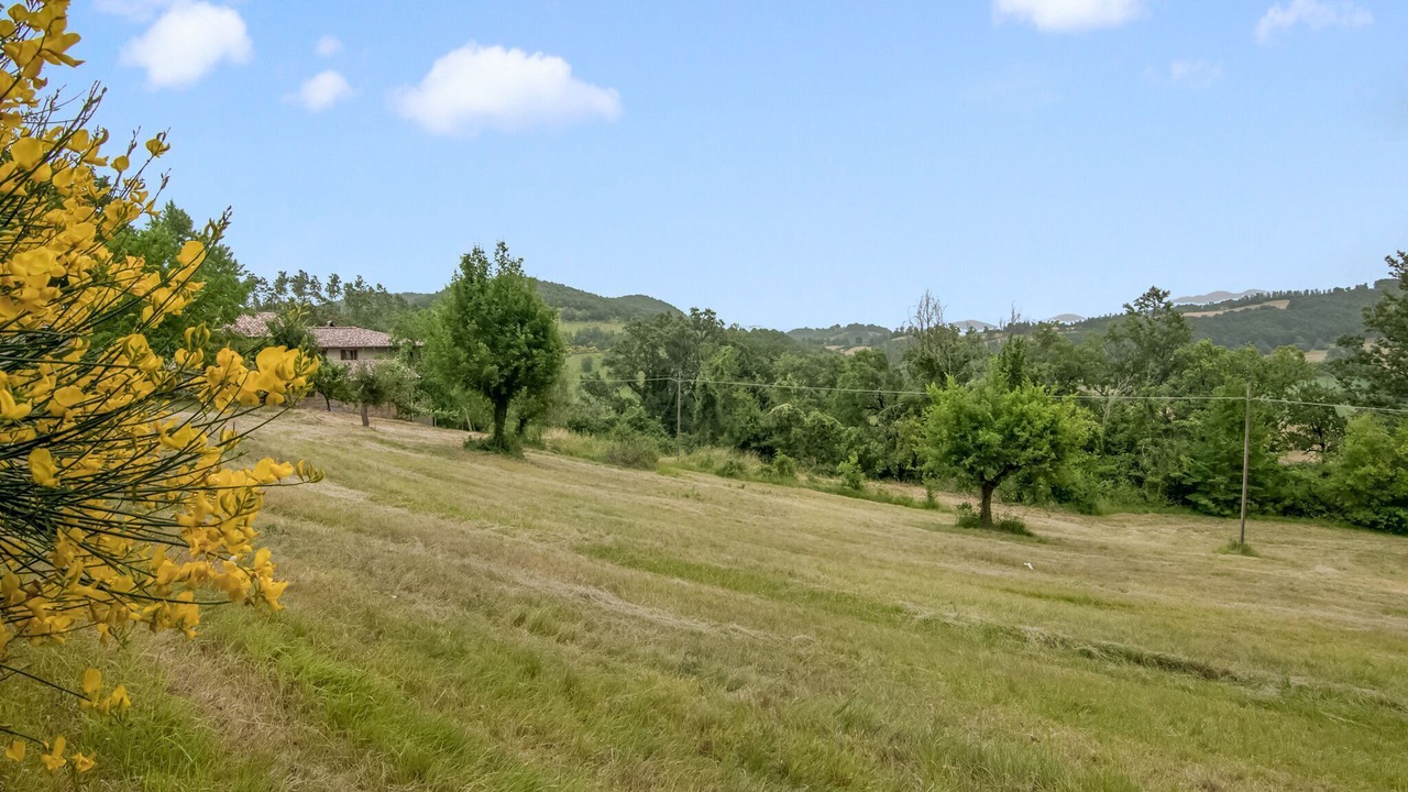 Photo of Outdoor in Assisi