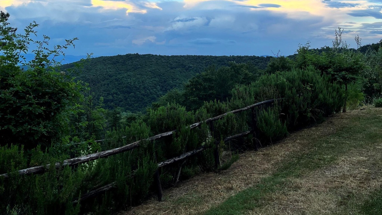 Photo of Outdoor in Scheggia