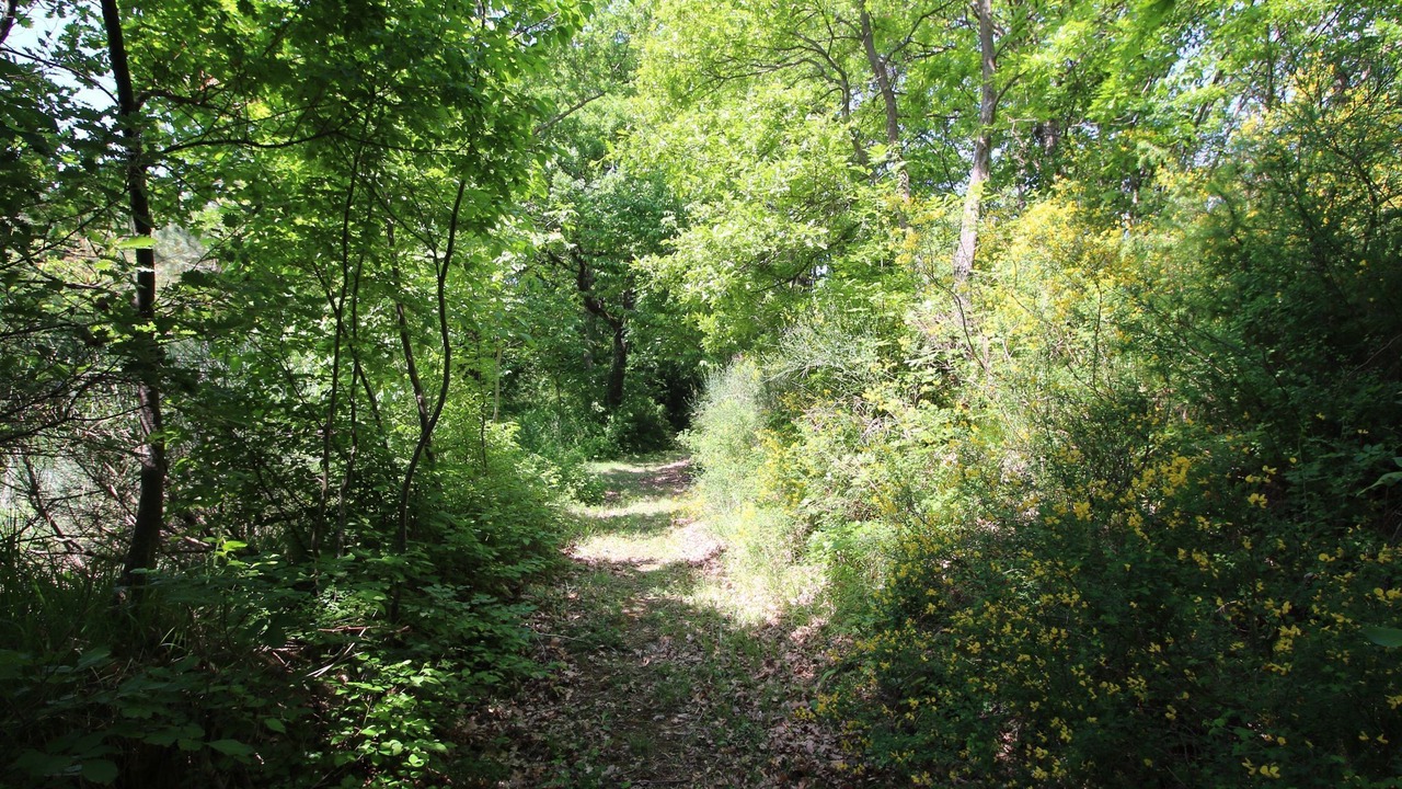 Photo of Outdoor in Apecchio