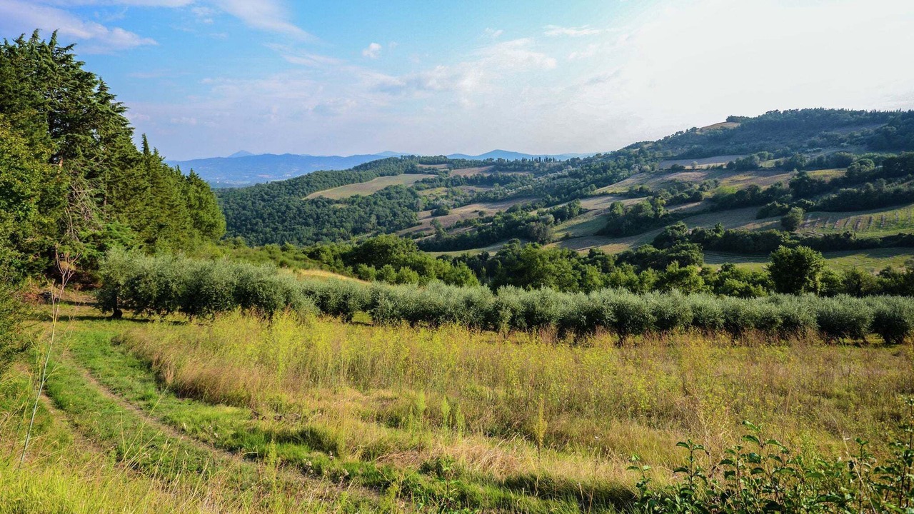 Photo of Outdoor in Bivio Lugnano