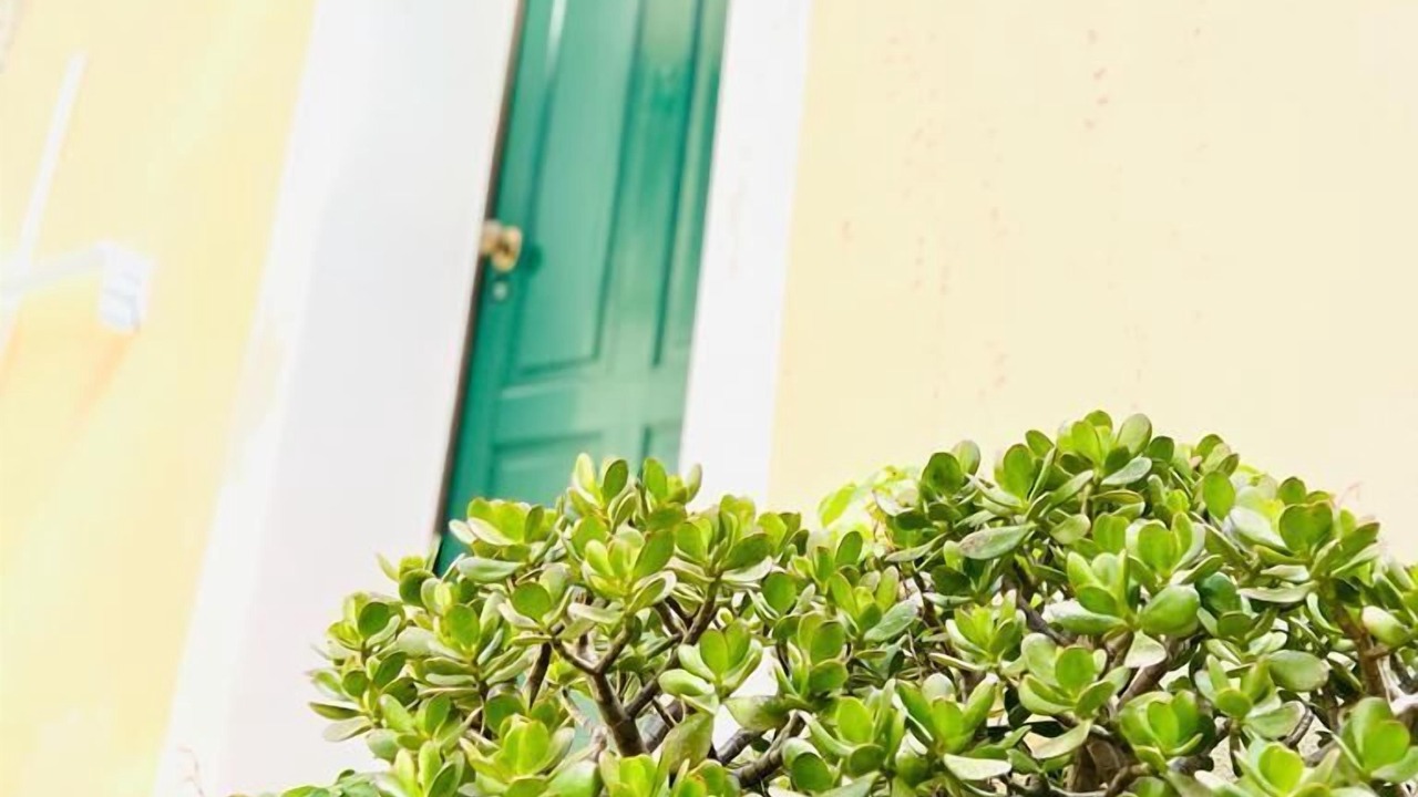 Photo of Bedroom in San Nicola Arcella