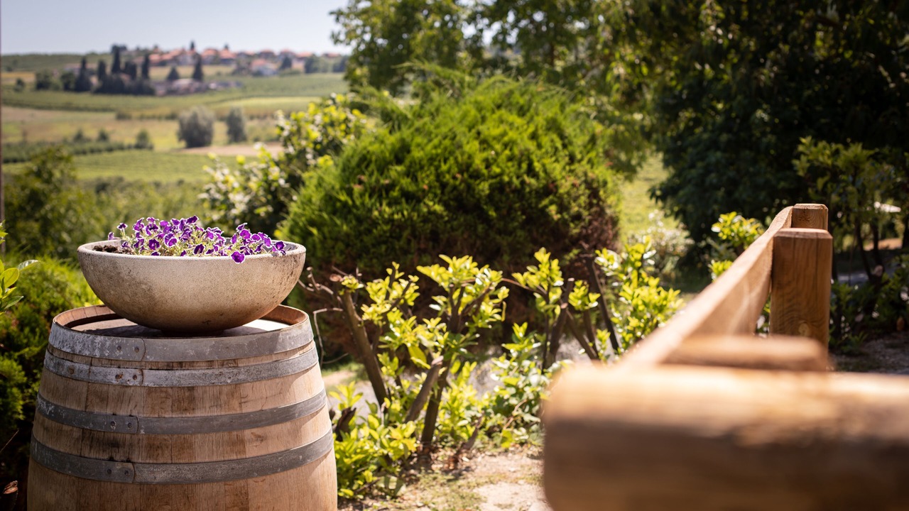 Photo of Outdoor in San Marzano Oliveto
