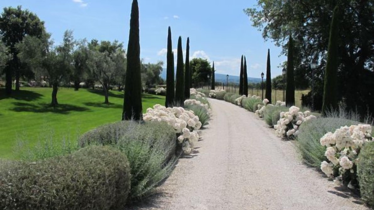 Photo of Outdoor in Viterbo