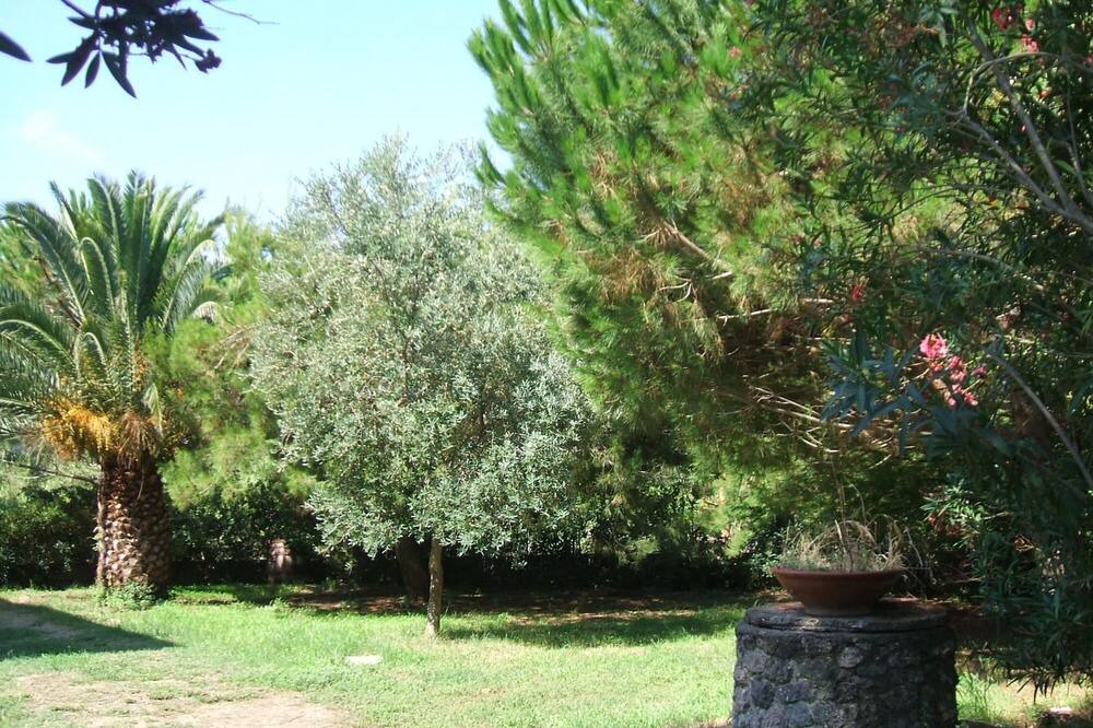 Photo of Outdoor in Giannella