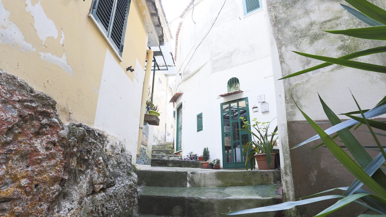 Photo of Outdoor in Benincasa