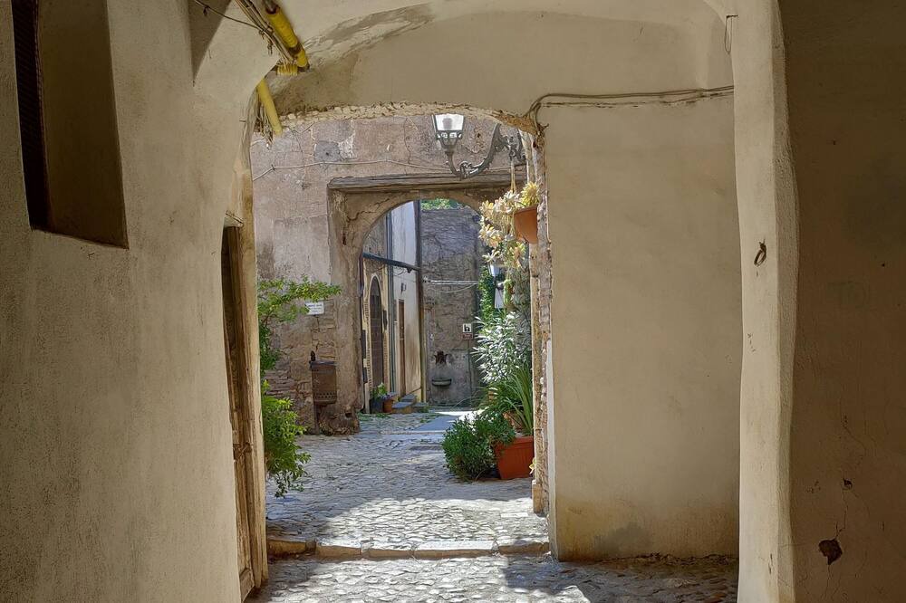Photo of Others in Capena