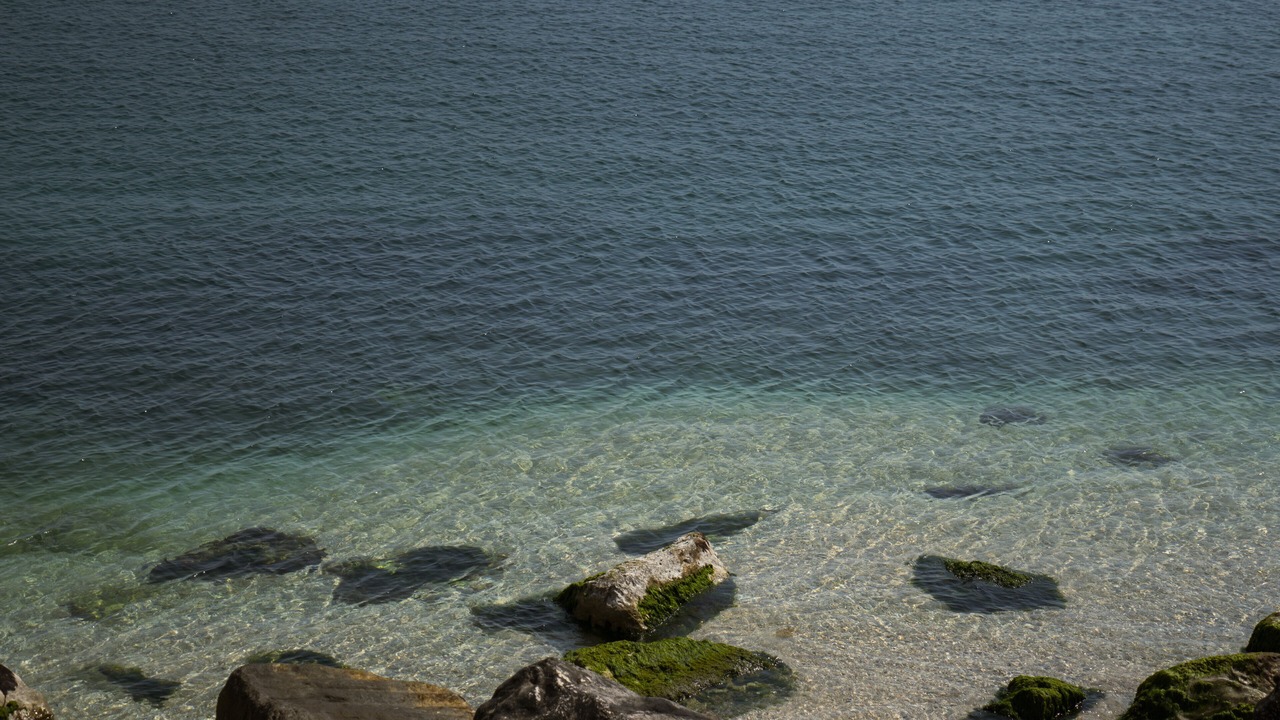 Photo of Others in Bisceglie