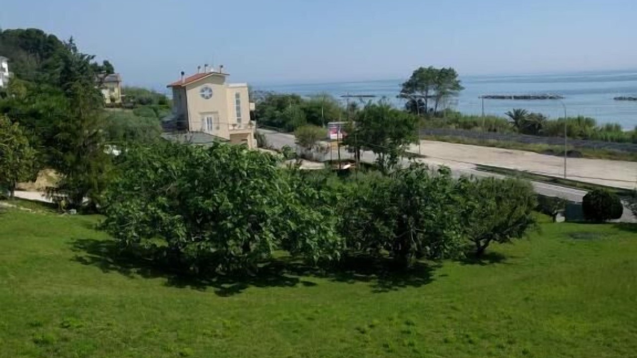 Photo of Outdoor in Massignano