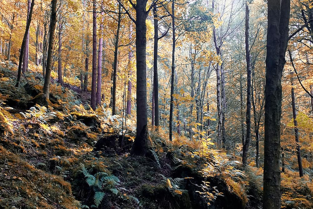 Photo of Others in Montegabbione