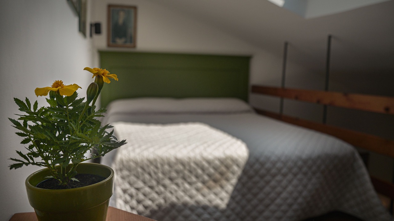 Photo of Livingroom in Spello