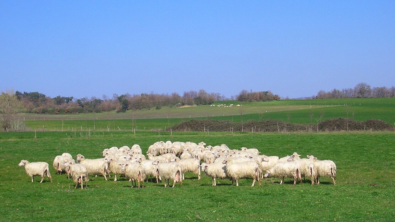 Photo of Others in Viterbo