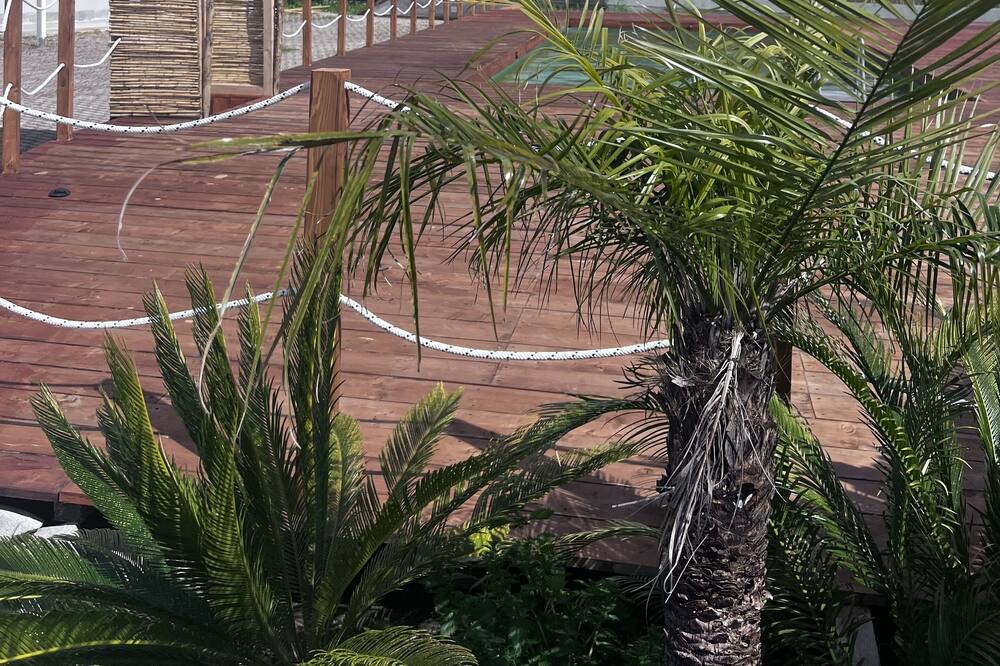 Photo of Patio Balcony in Capaccio Scalo