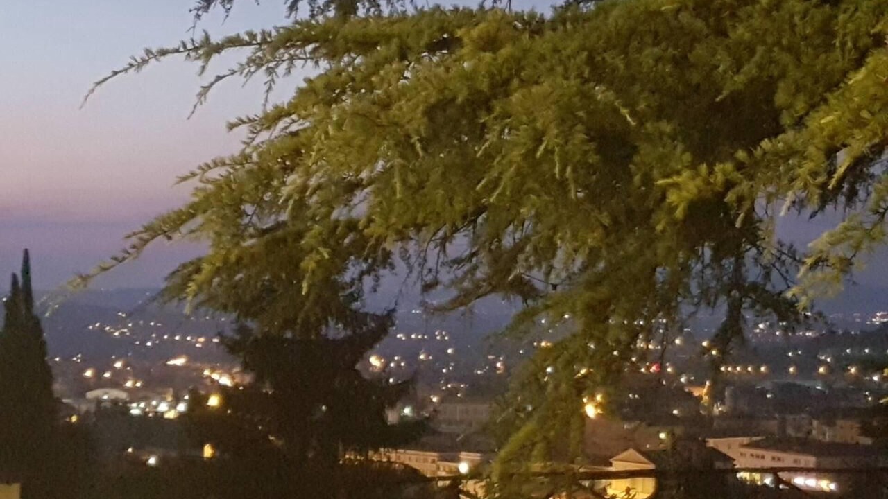 Photo of Others in Baiano