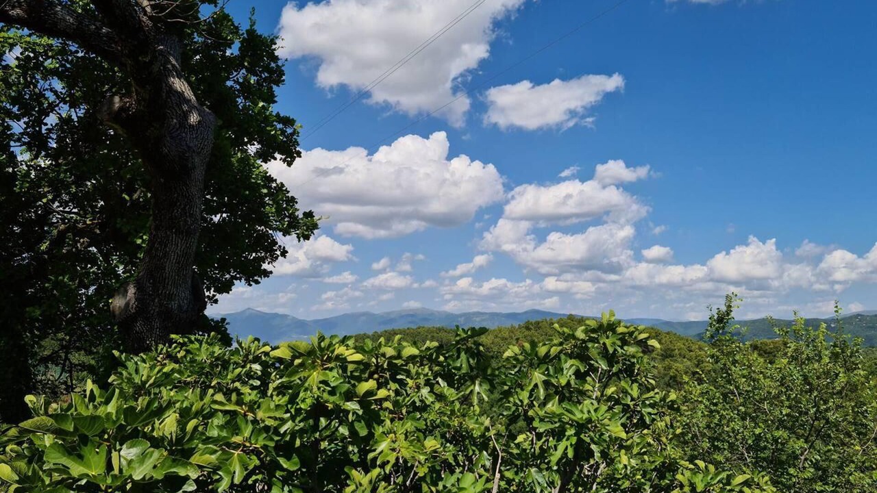Photo of Others in Baiano
