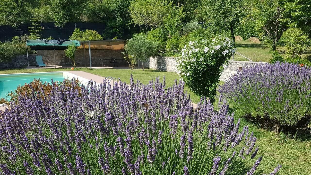 Photo of Outdoor in Montelirossi